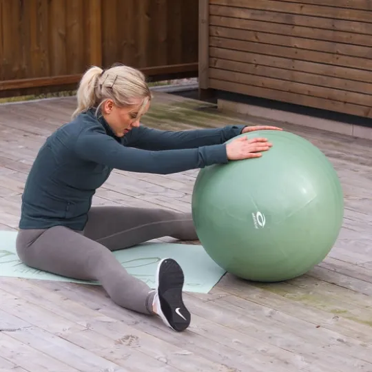 Abilica FitnessBall 65 cm