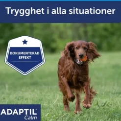 Adaptil Calm Halsband M/L
