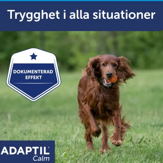 Adaptil Calm Halsband M/L