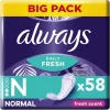 Always Dailies Normal Trosskydd 58 st
