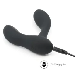 Bootylicious The Prostate