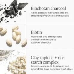 Briogeo Scalp Revival Charcoal + Biotin Dry Schampo 50 ml