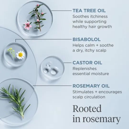 Briogeo Scalp Revival Rosemary Pre-wash Oil 100 ml