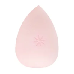 Brushworks Complexion Sponge