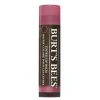 Burt's Bees Tinted Lip Balm Hibiscus 4,25 g