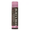 Burt's Bees Tinted Lip Balm Pink Blossom 4,25 g