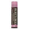 Burt's Bees Tinted Lip Balm Pink Blossom 4,25 g