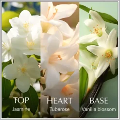 Chanson d'Eau Jasmine EdT 100 ml