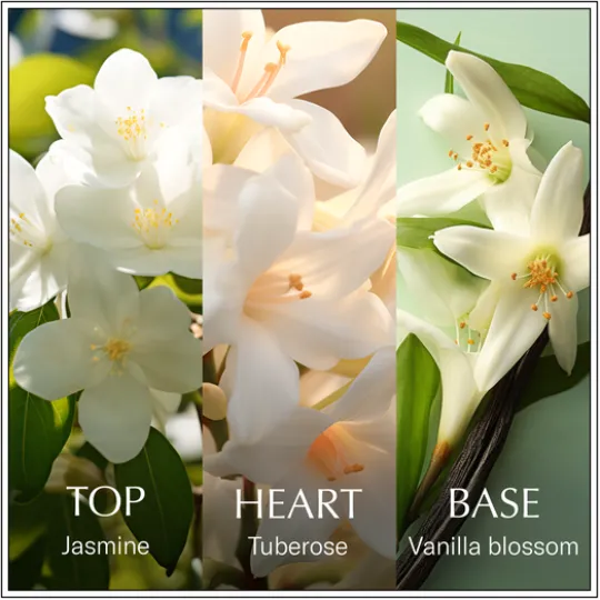 Chanson d'Eau Jasmine EdT 100 ml