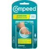 Compeed Liktornsplåster Medium 10 st