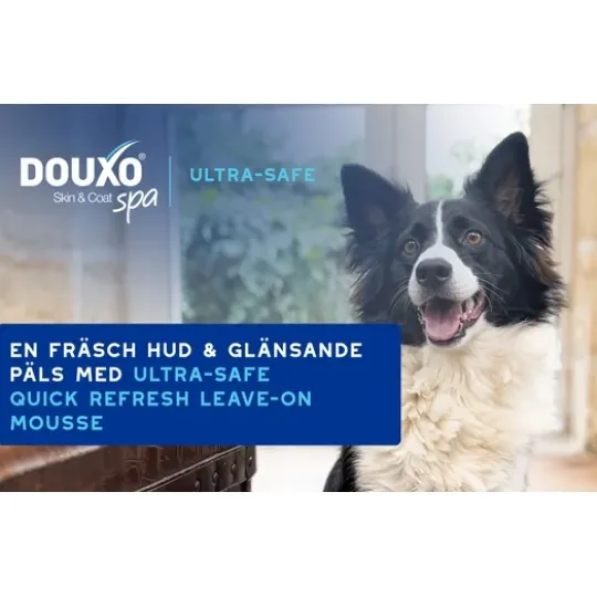 DOUXO Skin & Coat Spa Ultra-safe Quick Refresh Leave-on Mousse 150 ml