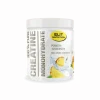 Elit Nutrition Creatine Monohydrate 100% Pure Pineapple 300 g