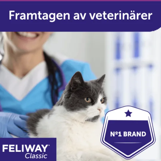 Feliway Classic Refill 48 ml