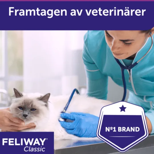 Feliway Classic Spray 60 ml