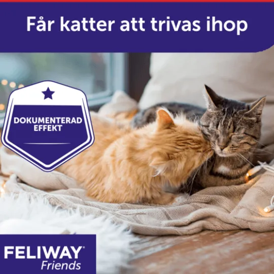 Feliway Friends Doftavgivare 48 ml