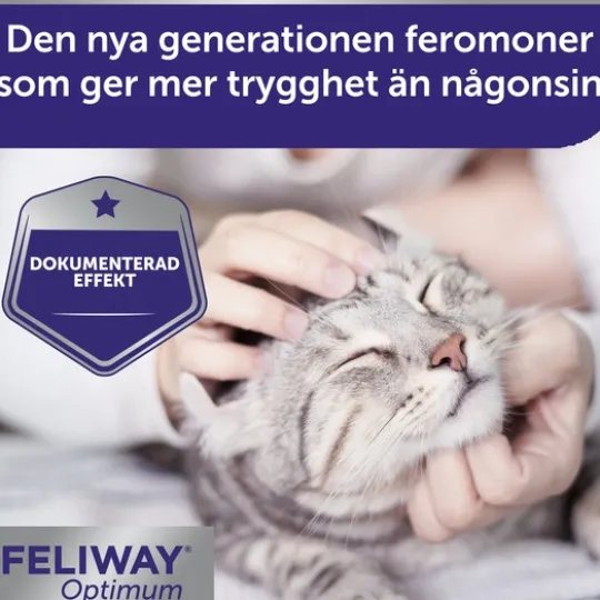 Feliway Optimum Refill 48 ml