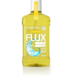 Flux Lemon & Mint 500 ml