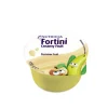 Fortini Creamy Fruit Sommar 4 x 100 g
