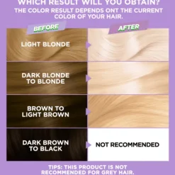 Garnier Nutrisse Ultra Bleach Blekning L4+ Ultra Maximum Lightener