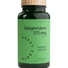 Great Earth Magnesium 375 mg 100 tabletter
