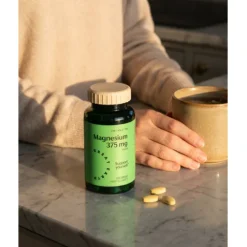 Great Earth Magnesium 375 mg 100 tabletter