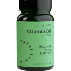 Great Earth Vitamin B6 120 tabletter