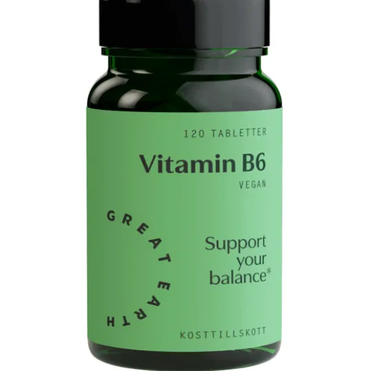 Great Earth Vitamin B6 120 tabletter