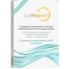 GutMagnific Mjölksyrebakterier 30 kapslar