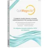 GutMagnific Mjölksyrebakterier 30 kapslar