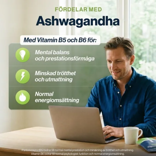 4HIM&HER Ashwagandha & B-vitaminer 90 kapslar