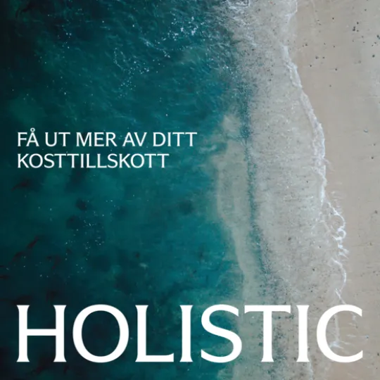 Holistic D-vitamin 2000 90 kapslar