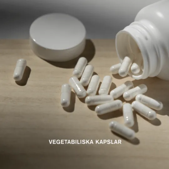 Holistic D3-vitamin Vegan 2000 IE (50 µg) 90 kapslar