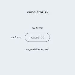 Holistic Homme VIRIL + 90 kapslar