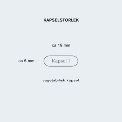 Holistic Lactovitalis Daily 30 kapslar