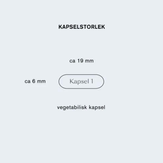 Holistic Lactovitalis Daily 30 kapslar
