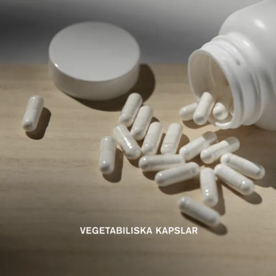 Holistic L-lysin 500 mg 90 kapslar