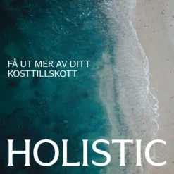 Holistic Magnesiumbisglycinat 100 mg 90 kapslar