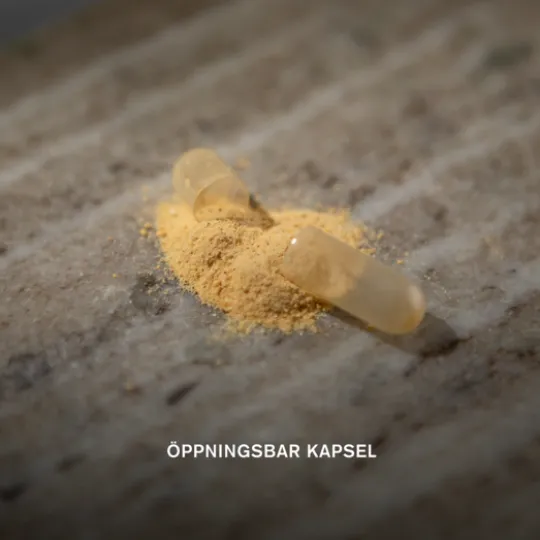 Holistic Multi-Immun 60 kapslar