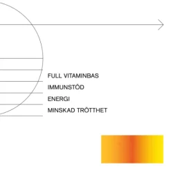 Holistic MultiVitamin 90 kapslar