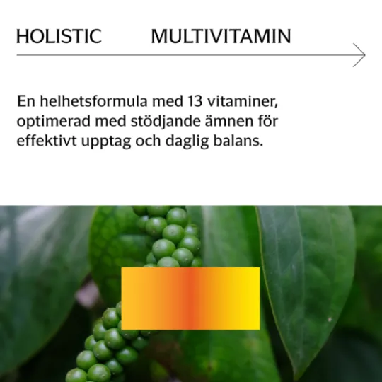 Holistic MultiVitamin 90 kapslar