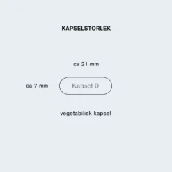 Holistic NAD+ 30 kapslar