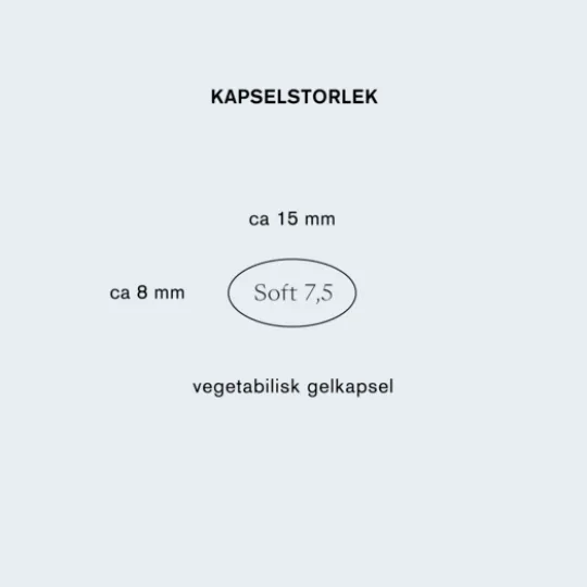 Holistic Q10 60 kapslar