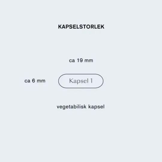 Holistic Selen 200 mcg 90 kapslar