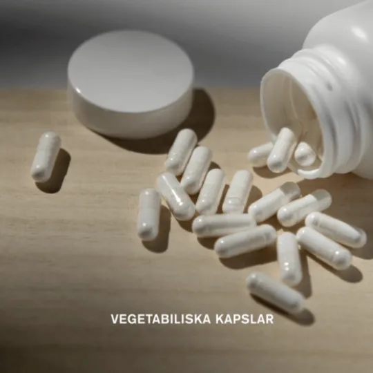 Holistic Selen 200 mcg 90 kapslar