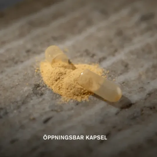 Holistic Selen 200 mcg 90 kapslar