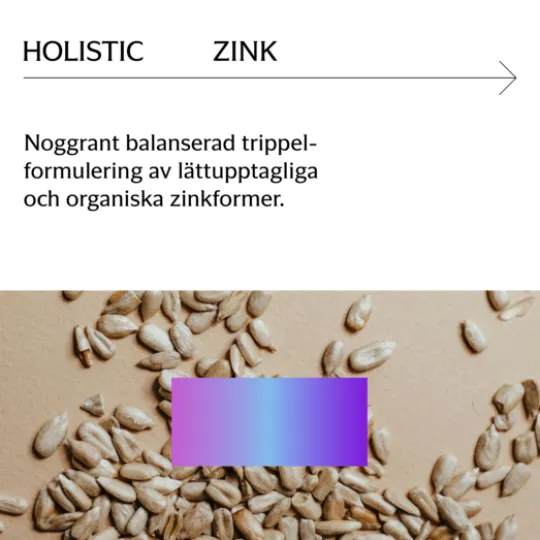 Holistic Zink 25 mg 90 kapslar