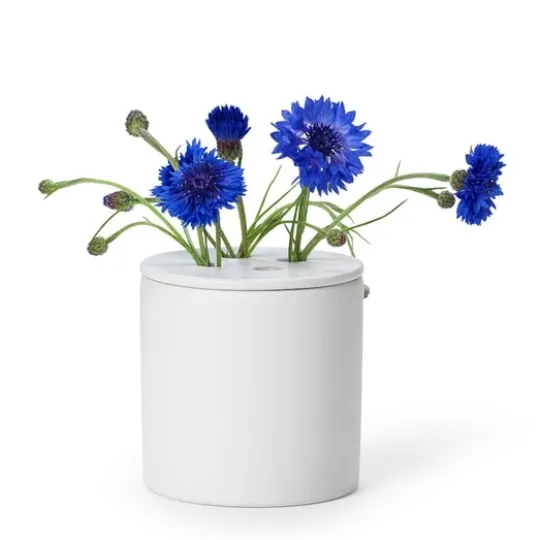 In Flore Anna Doftljus Gardenia 350 g