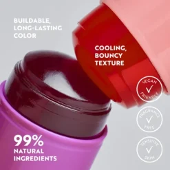 IsaDora The Lip & Cheek Tint Cooling Jelly Stick 10 Coral Rouge 12 g
