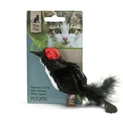 Kitty Play Squeaking Black Bird