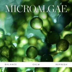KORA Organics Active Algae Minty Mist 100 ml